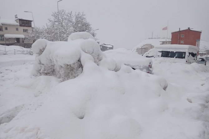 HAKKARİ'DE 100 KÖY VE 194 MEZRA YOLU KAPANDI