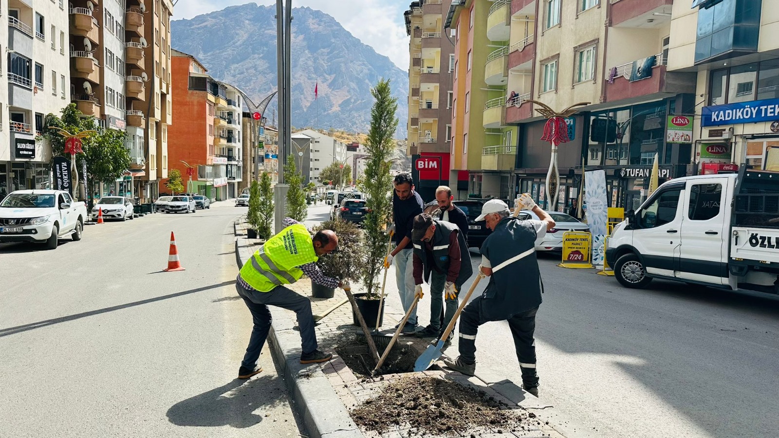 Hakkari’de Yeşil Doku İçin Fidanlar Toprakla Buluşuyor
