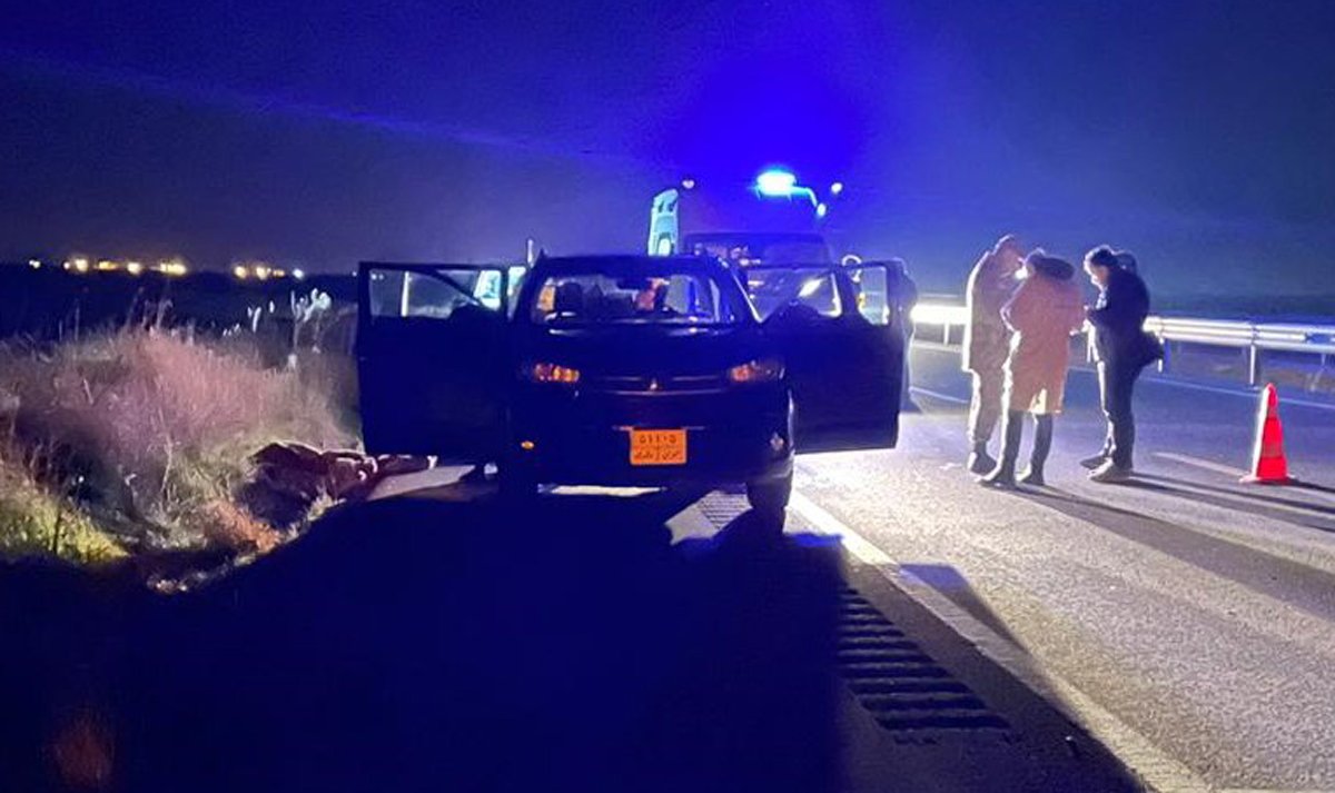 Mardin'de 5 kişinin öldürüldüğü saldırıyla ilgili 4 tutuklama