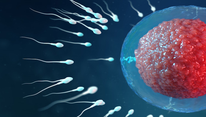 Sperm sayısını ve kalitesini neler etkiliyor?
